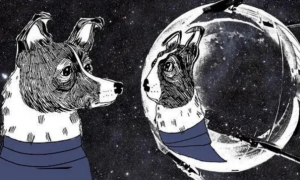 第一只登上太空的狗，原计划升空后安乐死，最终却非常痛苦地死去
