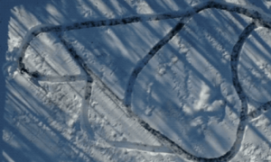 21只狗狗在雪地迷宫奔跑，俯视而下不由得令人羡慕