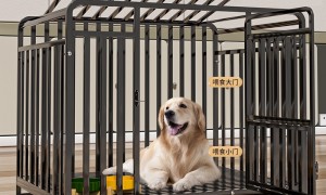 狗狗用围栏好还是笼子好