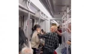 广州地铁里鹦鹉乱飞？请注意，北京地铁禁止携宠物乘车