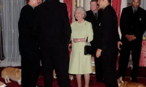 英国女王与她的柯基们：狗陪伴她走完人生旅程