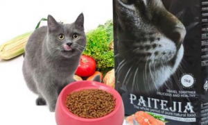 派特佳猫粮怎么样，派特猫品牌咨询管理有限公司？