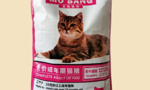 摩邦猫粮营养丰富，安全可靠的健康之选！