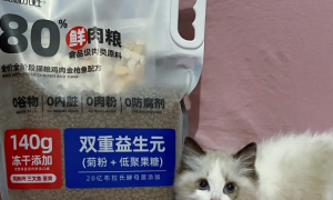 毛孩子肠胃の守护者——麻麻小灶猫粮