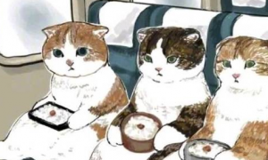 当人变成猫，挤地铁都变得可爱起来了