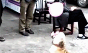 狗狗商场大门口顶气球，顶了十几次，沒有一次气球落地式！