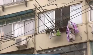 上海一老太家中饲养100多只老鼠，用垃圾喂养，邻居连窗都不敢开