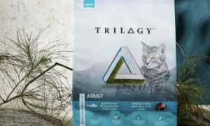 Trilogy奇境猫粮，天然味道，宠爱猫咪天性每一天