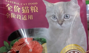 咪呢一族猫粮怎么样，适合猫咪吃吗？