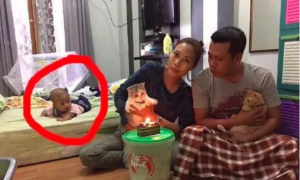 夫妻俩给猫咪过生日，床上的儿子却成了亮点到底谁才是亲生的