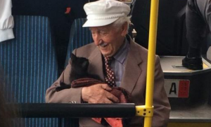 公交车上老爷爷抱着猫咪的画面，很快传遍全世界，看了真的能治愈