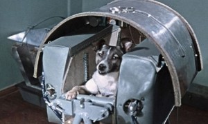 63年前，一条狗被人类送入太空，被称为英雄的它，“结局如何”？