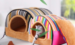 给猫咪准备一款保暖舒适的猫窝，环宠星际猫窝！