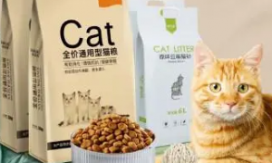帕蓝姆猫粮：一款值得信赖的高端猫粮品牌