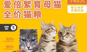 中国母猫新选择—爱倍优生胃繁育母猫专用全价猫粮