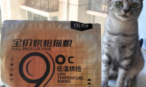 优刻猫粮质量好吗？优刻猫粮值得入手吗？