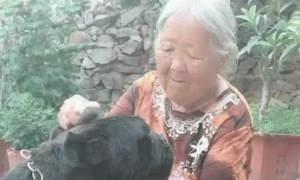 奶奶养了一只高加索犬卡斯罗，性情温和的像只小猫咪，狗：谁还不是个宝宝？