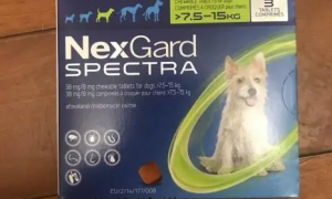 犬驱虫产品超可信，尼可信新适应证获批，用于治疗犬疥螨、蠕形螨感染