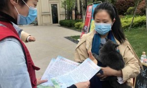 烟台高新区马山街道海博社区举办文明养犬宣传活动