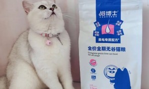 猫博士猫粮：高端品质，专业营养