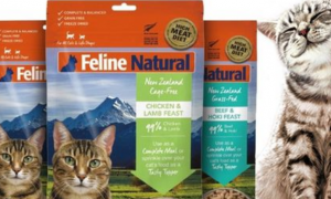feline natural喵爱新猫粮怎么样？