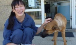 兽医简稚澄：安乐死了七百多条流浪狗后，最后一针她留给了自己