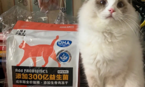佳诺佳猫粮是属于什么档次的猫粮？