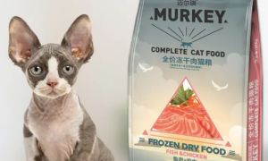 迈尔琪猫粮怎么样？可以推荐一个平价，性价比高的猫粮吗？