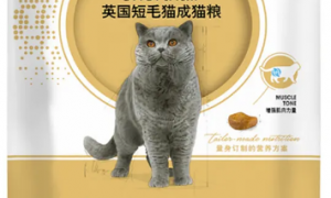 蒂利瑞猫粮：适合幼猫的优质营养之选