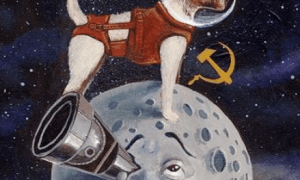 上世纪苏联将1只流浪狗送上太空，时隔63年，至今仍漂浮在太空中