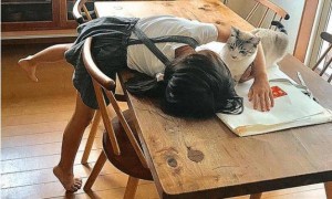 猫咪试图阻止小主人写作业，最后却被她给打败了，猫：谁还不是个宝宝