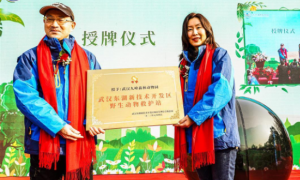 武汉东湖高新救护站，常年救护野生动物