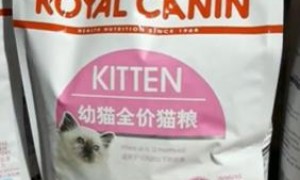 五种优质猫粮品牌介绍，为你的猫咪提供最佳营养