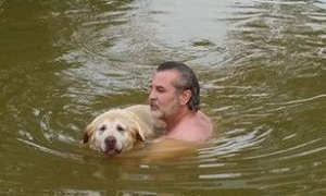老的牙齿都掉光的狗想下水游泳 主人帮助它