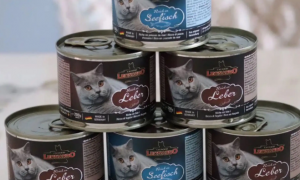 莱昂纳多leonardo猫罐头：一款值得推荐的猫罐头