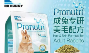 兔博士Pronutri™专研美毛配方兔粮——让你的兔子拥有健康、美丽的毛发