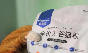 猫友爱国产猫粮品牌，值得入手！