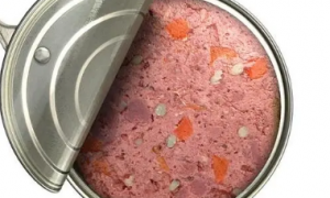 贝尔加多狗罐头：为爱犬提供营养美味