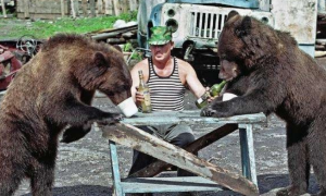 棕熊误闯训练场，俄军士兵反应是怎样的？一系列操作看懵网友