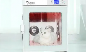 一文详解：欧科达宠物烘干机怎么样？