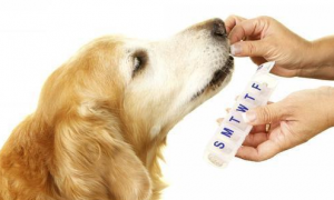 优曼宠物药品——保护宠物健康的可靠选择！