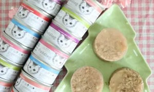 飘仕一一FL0W高汤系列猫罐头，你吃过吗？