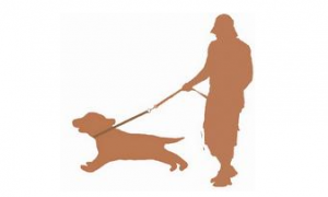 爱犬接受训练中暑身亡 主人向宠物培训机构索赔三万余元