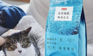京东京造猫粮怎么样？