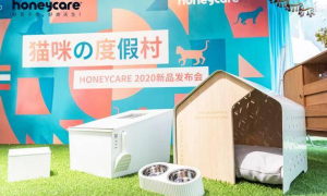 好命天生升级为honeycare钦选，发布主题性猫用品