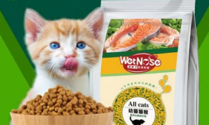 猫咪爱吃的猫粮～ 湿鼻子猫粮选择健康哦！
