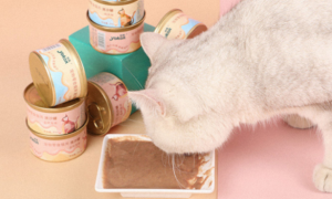 怡亲宠物猫咪零食流沙罐，解救不爱喝水的猫咪！