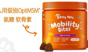 健合高端宠物营养产品扩容，Zesty Paws快乐一爪来中国了
