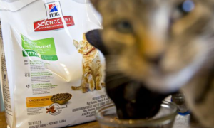你知道宠物营养补充剂怎么使用吗？