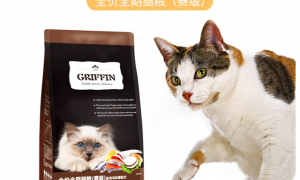 国产贵芬溶菌酶猫粮 幸福“食”刻，“贵芬”相伴